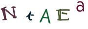 Resimli CAPTCHA
